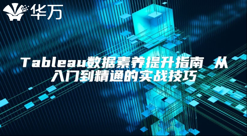 Tableau數(shù)據(jù)素養(yǎng)提升指南 從入門到精通的實(shí)戰(zhàn)技巧