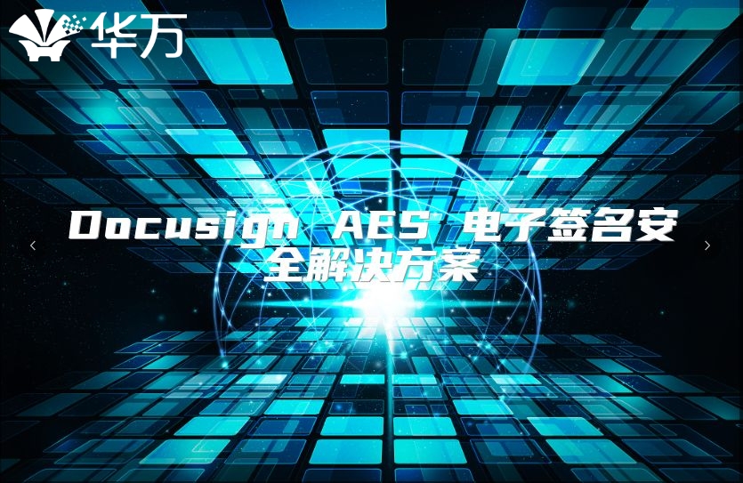 Docusign AES 電子簽名安全解決方案