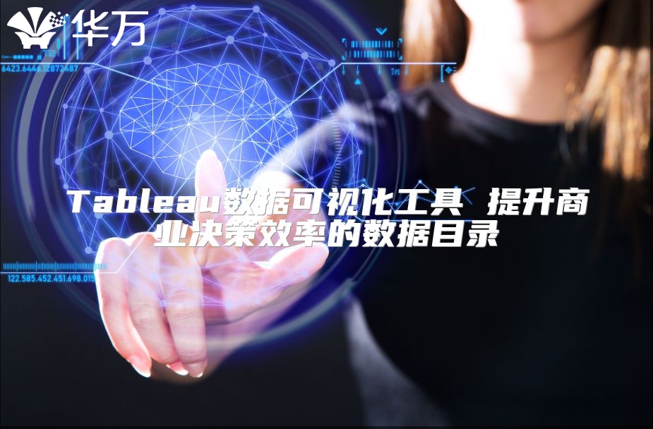 Tableau數(shù)據(jù)可視化工具 提升商業(yè)決策效率的數(shù)據(jù)目錄
