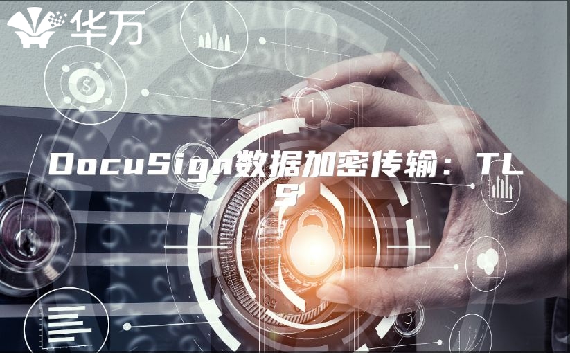 DocuSign數據加密傳輸：TLS