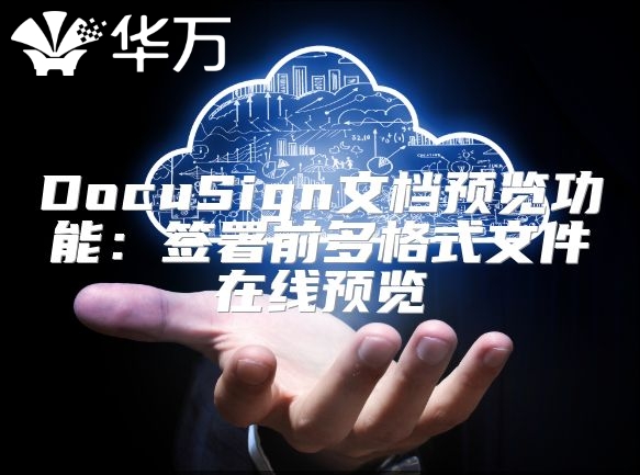 DocuSign文檔預(yù)覽功能：簽署前多格式文件在線預(yù)覽