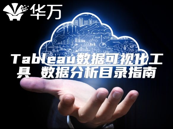 Tableau數(shù)據(jù)可視化工具 數(shù)據(jù)分析目錄指南