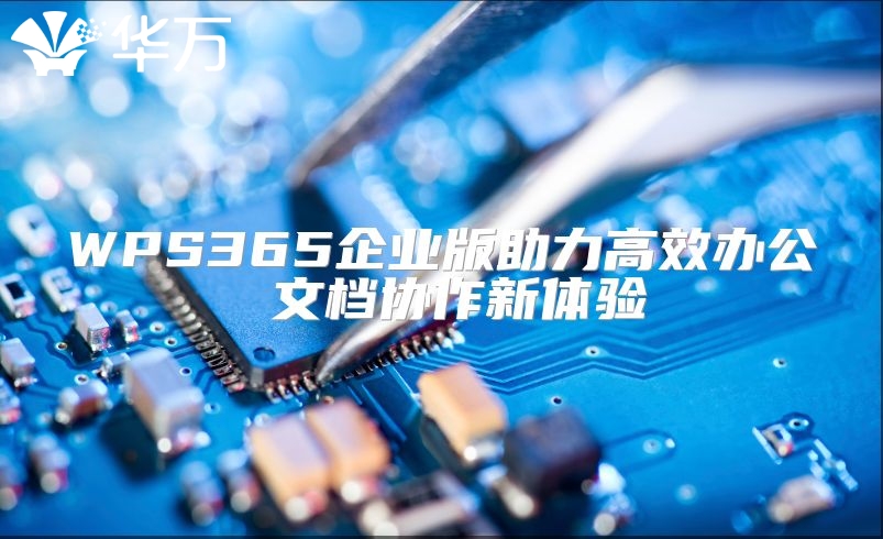 WPS365企業版助力高效辦公 文檔協作新體驗