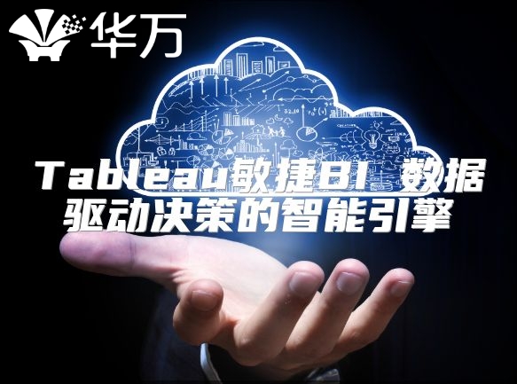 Tableau敏捷BI 數據驅動決策的智能引擎