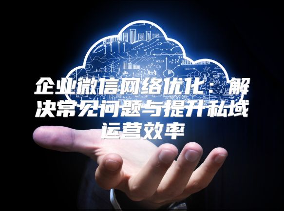 企業(yè)微信網(wǎng)絡(luò)優(yōu)化：解決常見問(wèn)題與提升私域運(yùn)營(yíng)效率