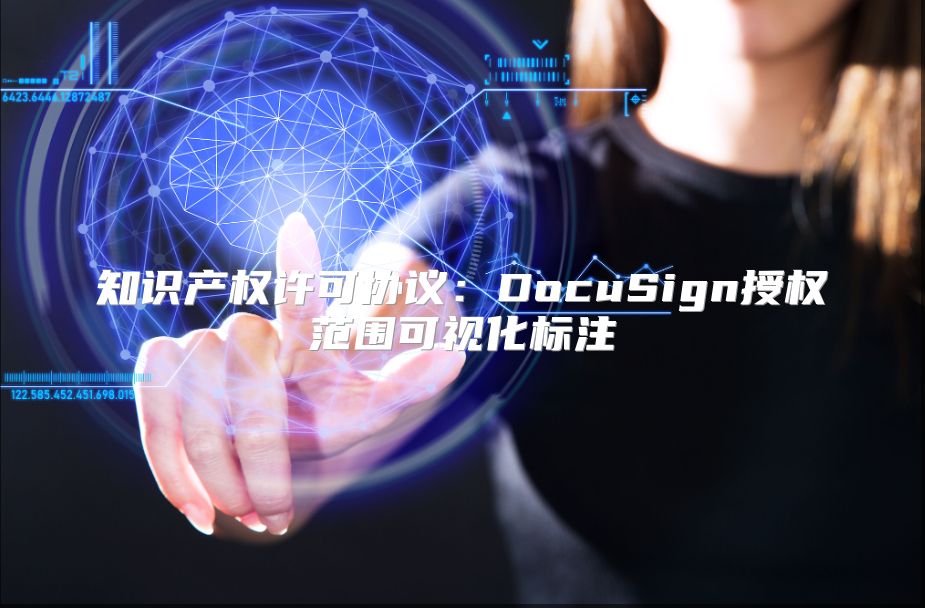 知識(shí)產(chǎn)權(quán)許可協(xié)議：DocuSign授權(quán)范圍可視化標(biāo)注