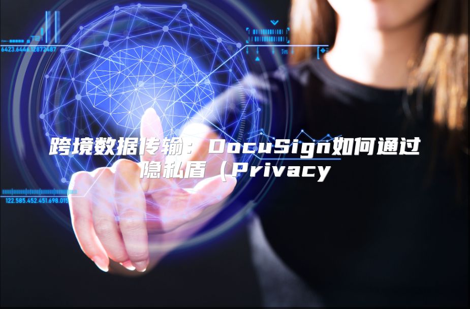 跨境數據傳輸：DocuSign如何通過隱私盾（Privacy