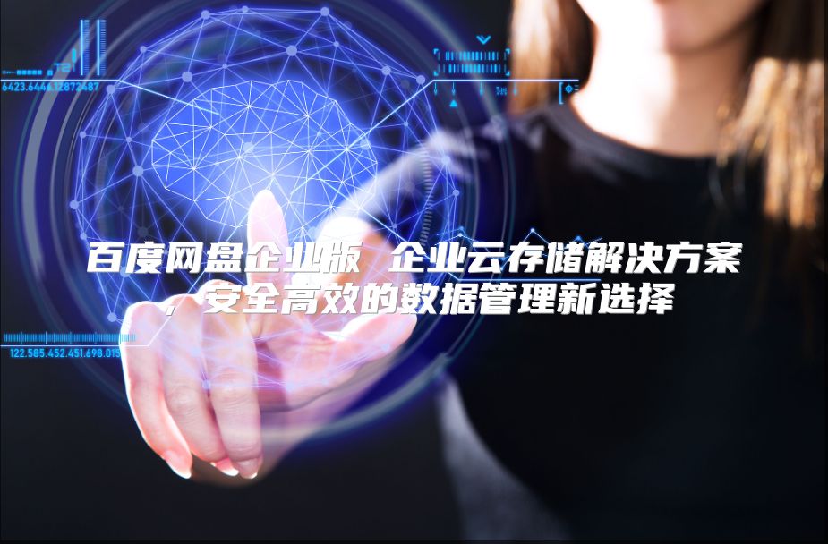 百度網盤企業(yè)版 企業(yè)云存儲解決方案，安全高效的數據管理新選擇