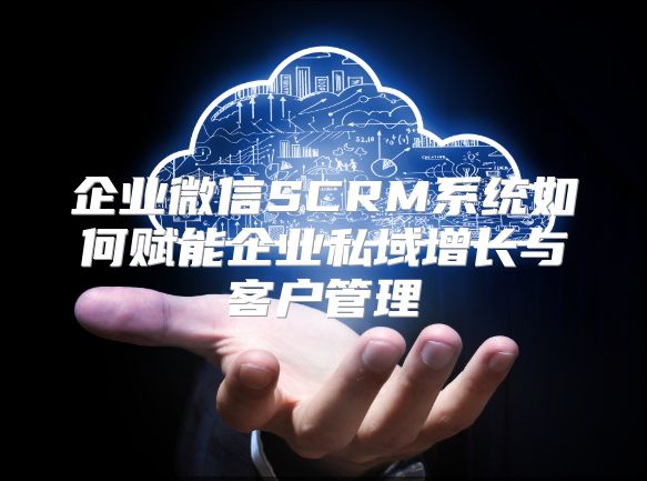企業微信SCRM系統如何賦能企業私域增長與客戶管理
